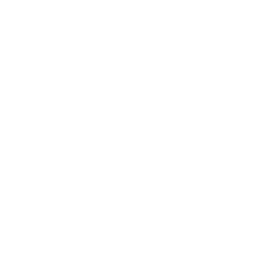 HeleusAI